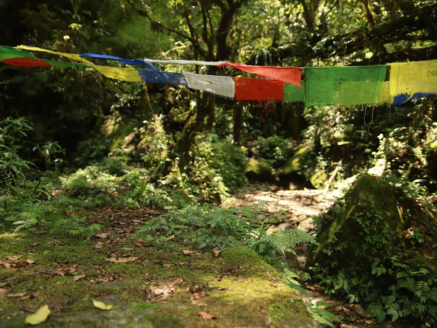 Lungta — prayer flags