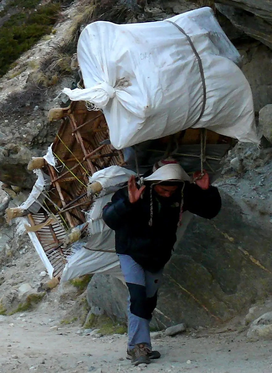 Sherpa